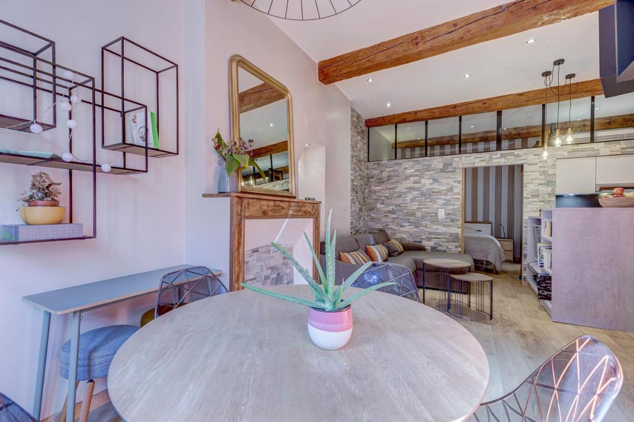 Le Carnot 29 - Beautiful Apartment In The Heart Of آنسي المظهر الخارجي الصورة